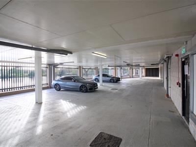Picture 20